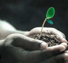 Personal Growth Counseling